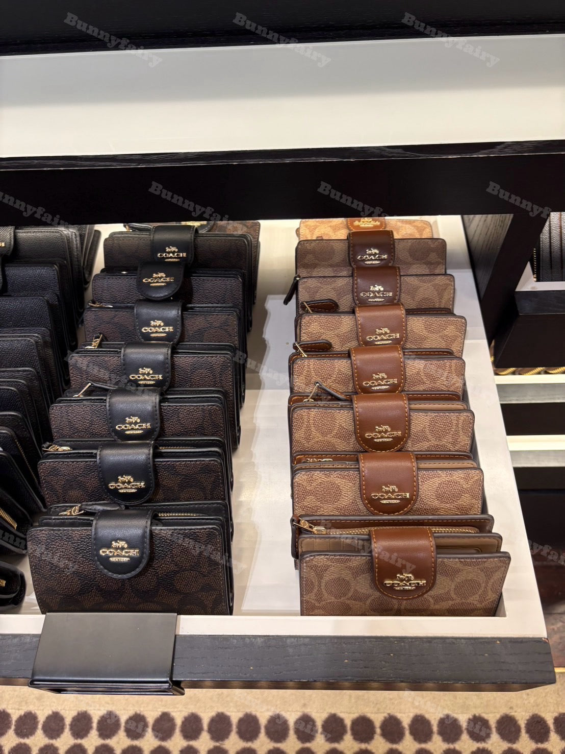 [預購] Coach Medium Corner Zip Wallet 中夾 多色